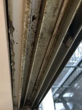 サッシまわりに雨水の影響が見られる状態