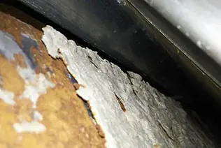 雨漏り調査で建物の状態を確認している様子