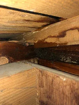 建物の経年劣化により雨漏りが起きやすい箇所